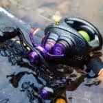 #カラー_パープル