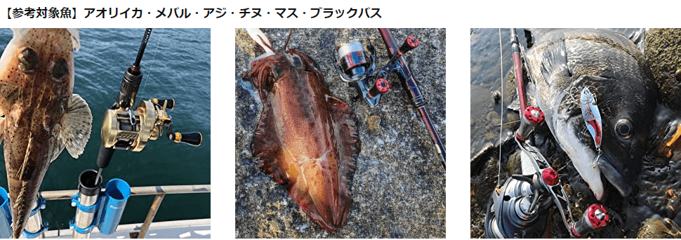 ゴメクサス　A20ノブ　対象魚