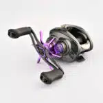 #カラー_パープル