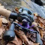 #カラー_パープル