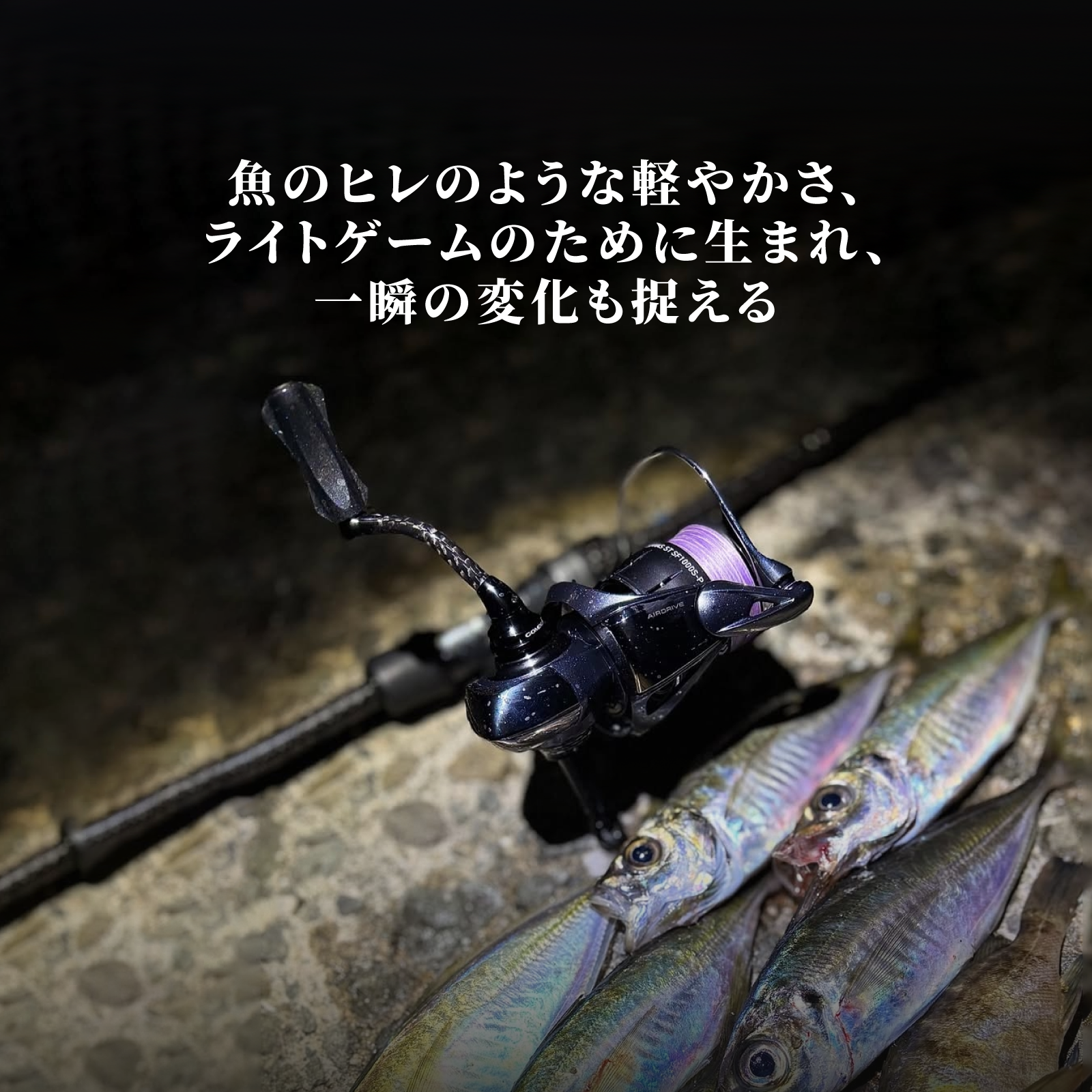 img v3 02102 37411a1f c103 421e a08c 3e2c0888792g