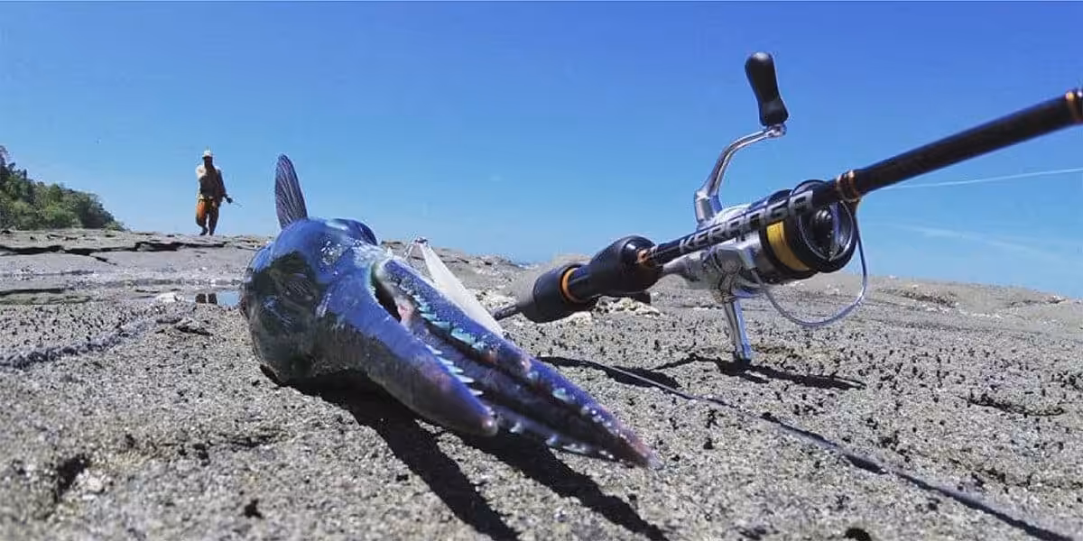 ゴメクサス　リールスタンド