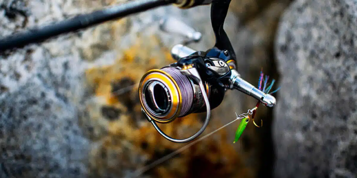 ゴメクサス　リールスタンド　R6