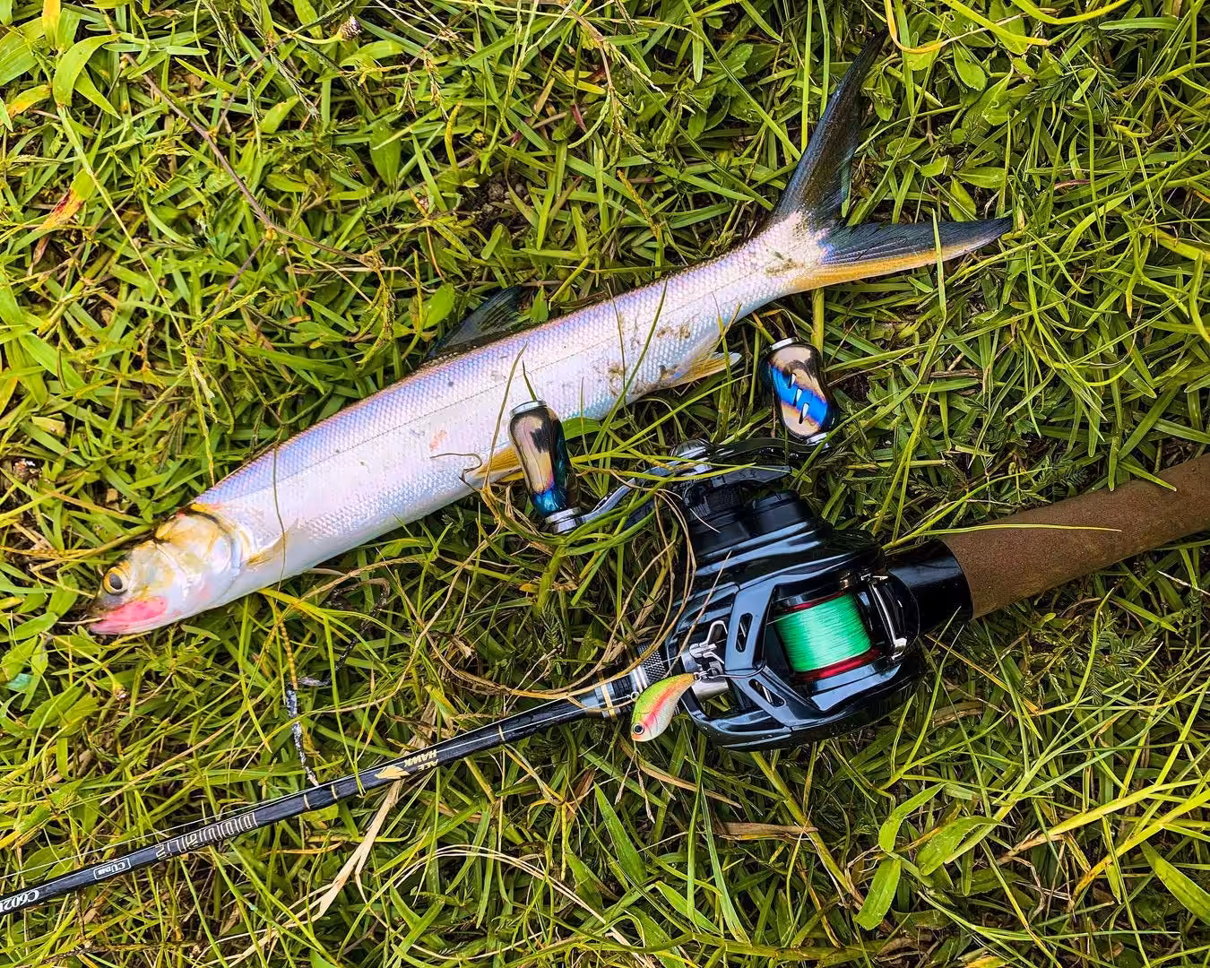 T22 銀河ノブ TypeA/TypeS チタン製 22mm 9 ゴメクサス 銀河ノブ