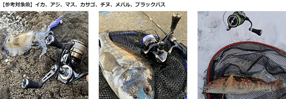ゴメクサス　TA20ノブ　対象魚