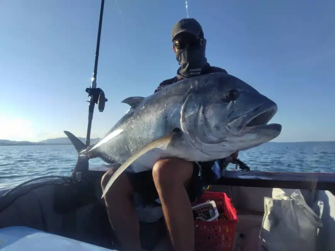 img v3 02lq 6529c491 8cee 4822 aaac 5f70a8dd18cg