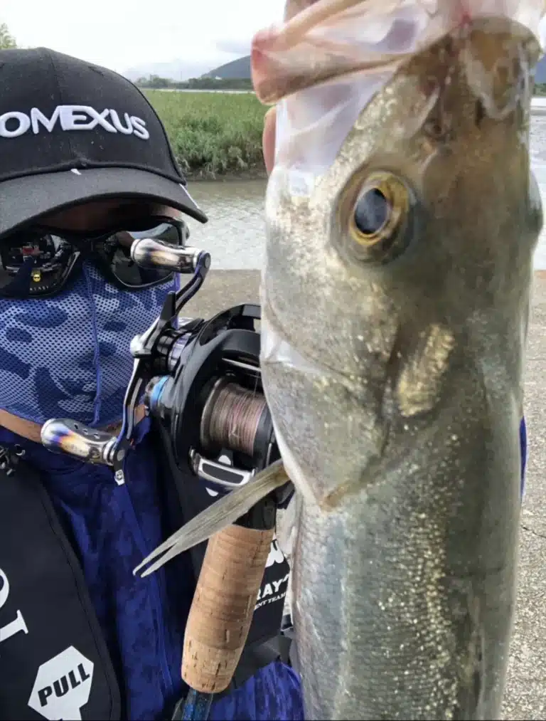 img v3 02lq ddfd5ec8 67f4 4097 a98f 1cd843fc794g