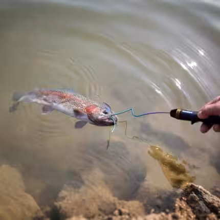 ゴメクサス　フックリリーサー