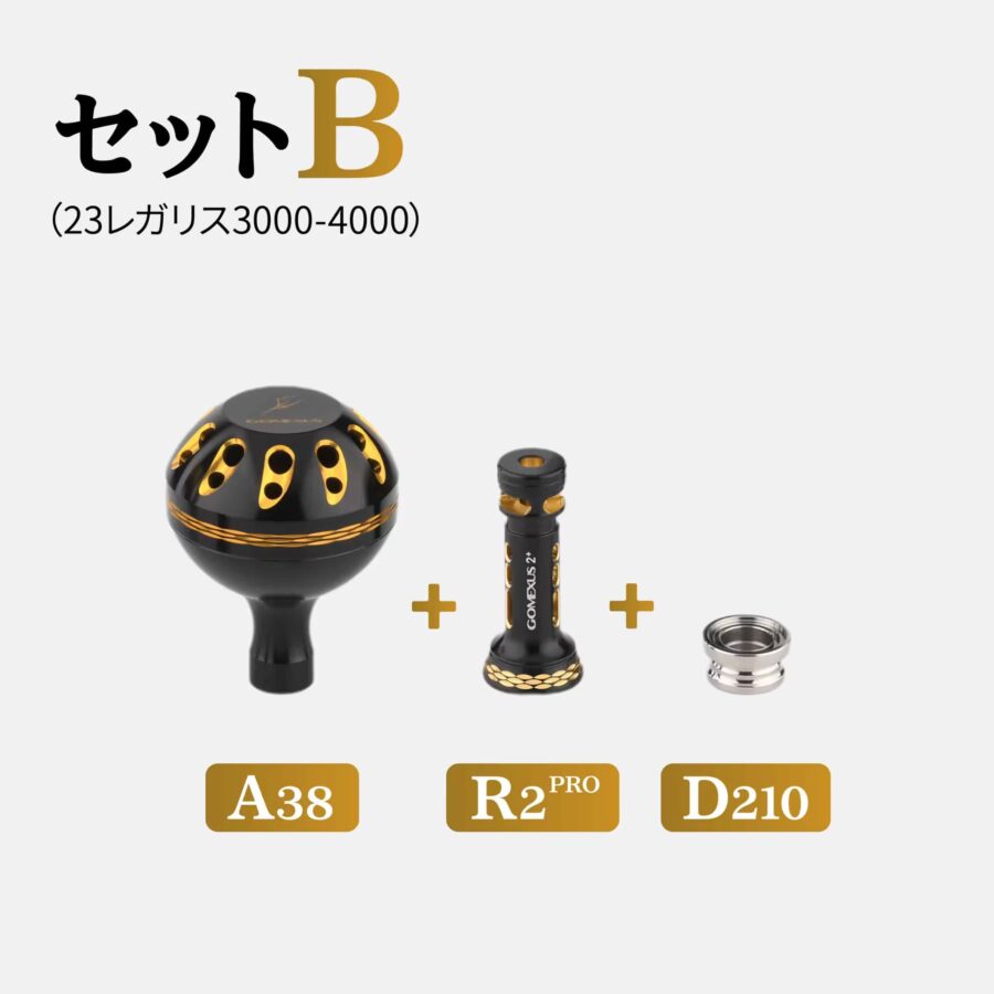 23レガリス専用カスタム イカ アジング用