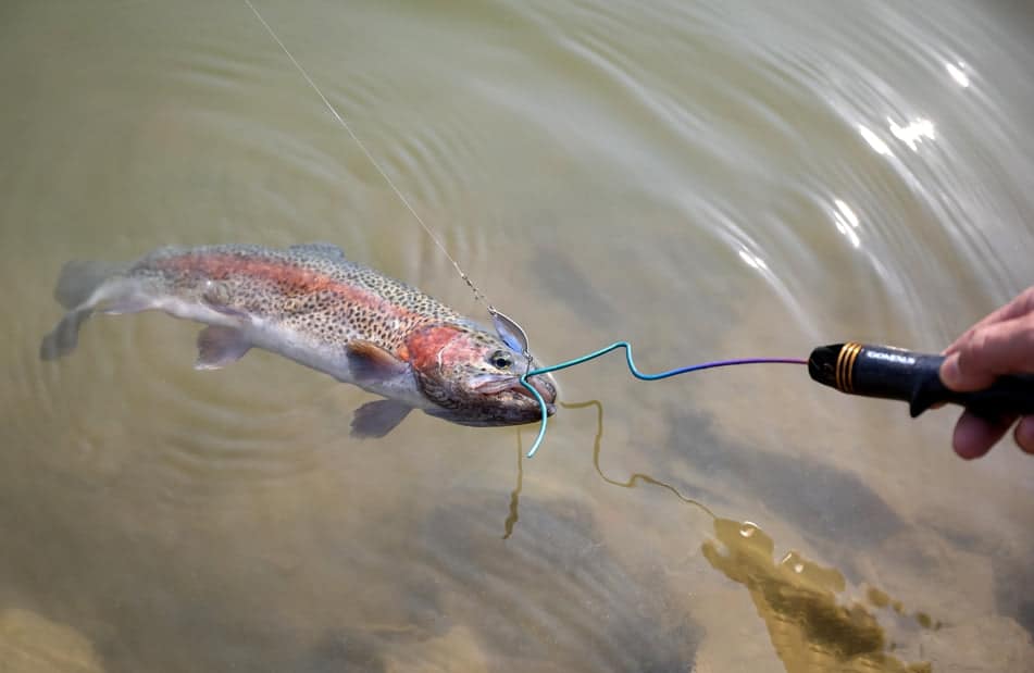 管釣りで数釣るなら必須級?エリアトラウト向け「フックリリーサー」の魅力と使い方を解説 3 管釣り フックリリーサー 使い方