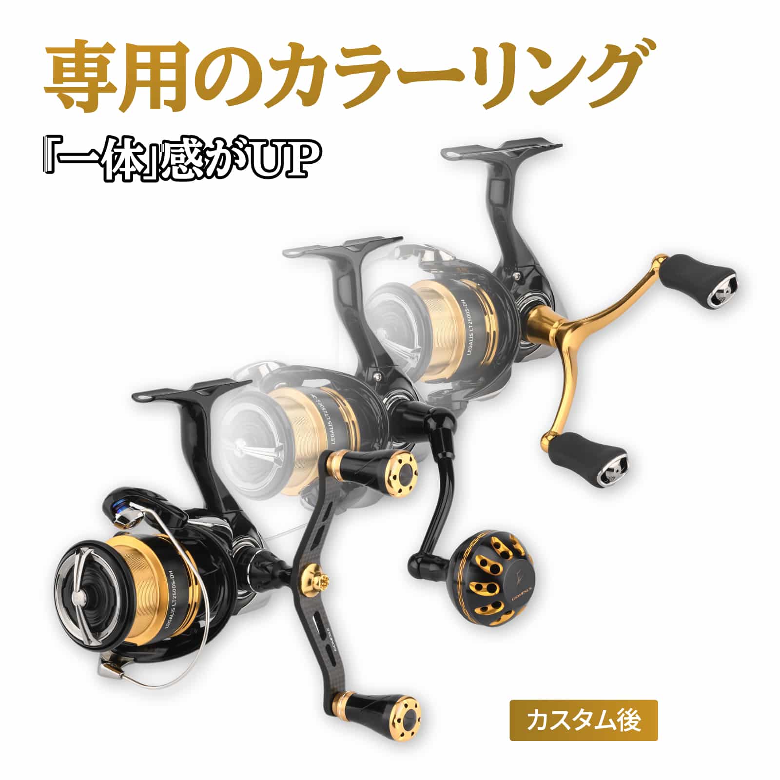 23レガリス専用カスタム イカ アジング用