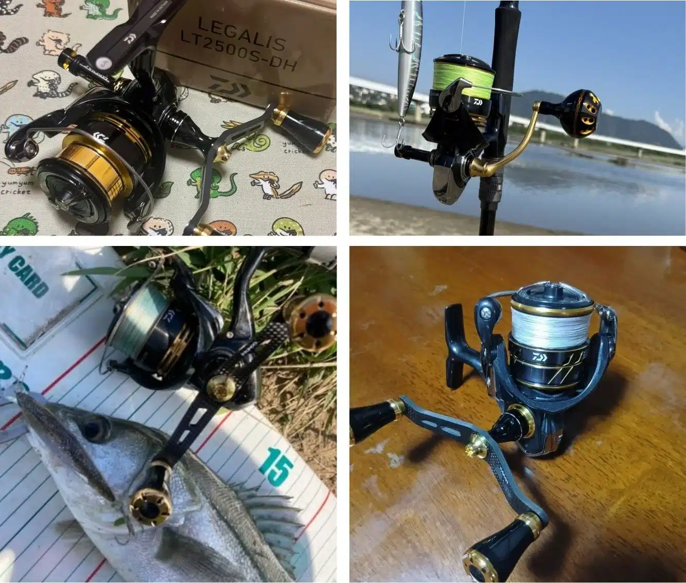 【23レガリス専用カスタム】FY-A20/R2 PRO/D210/A38/A41 1000-6000番対応 イカ アジング エギング 9 23レガリスカスタム 改装 ハンドル交換