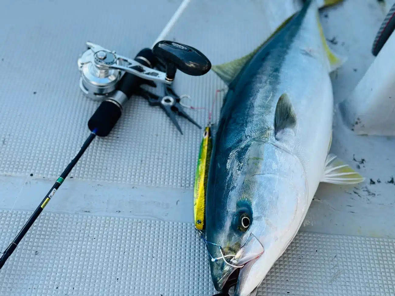 真夏の海へ出航!オフショアジギング釣行記 4 青物ジギング 釣り方