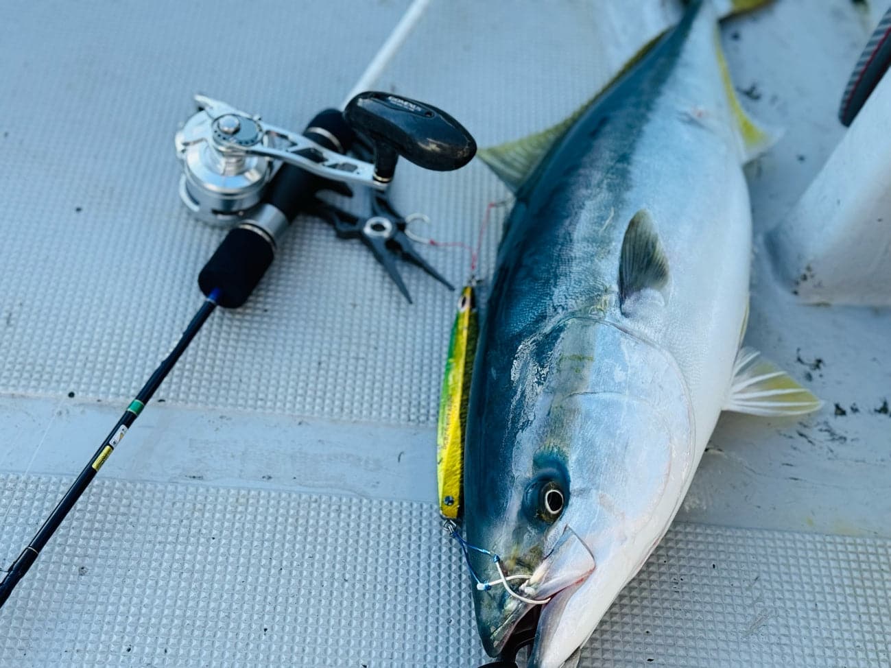 真夏の海へ出航!オフショアジギング釣行記 4 青物ジギング 釣り方