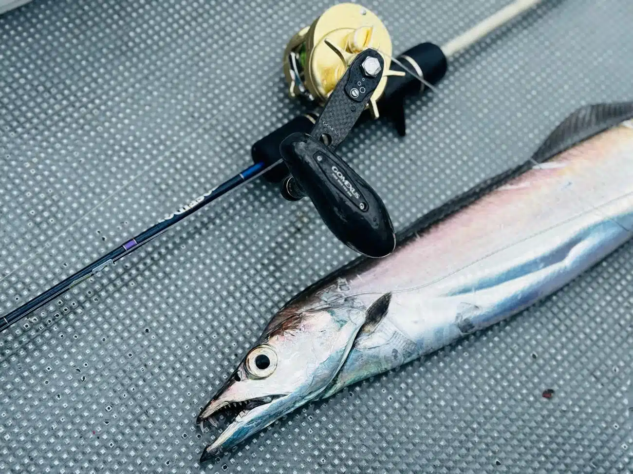 真夏の海へ出航!オフショアジギング釣行記 5 タチウオジギング とは 魚種