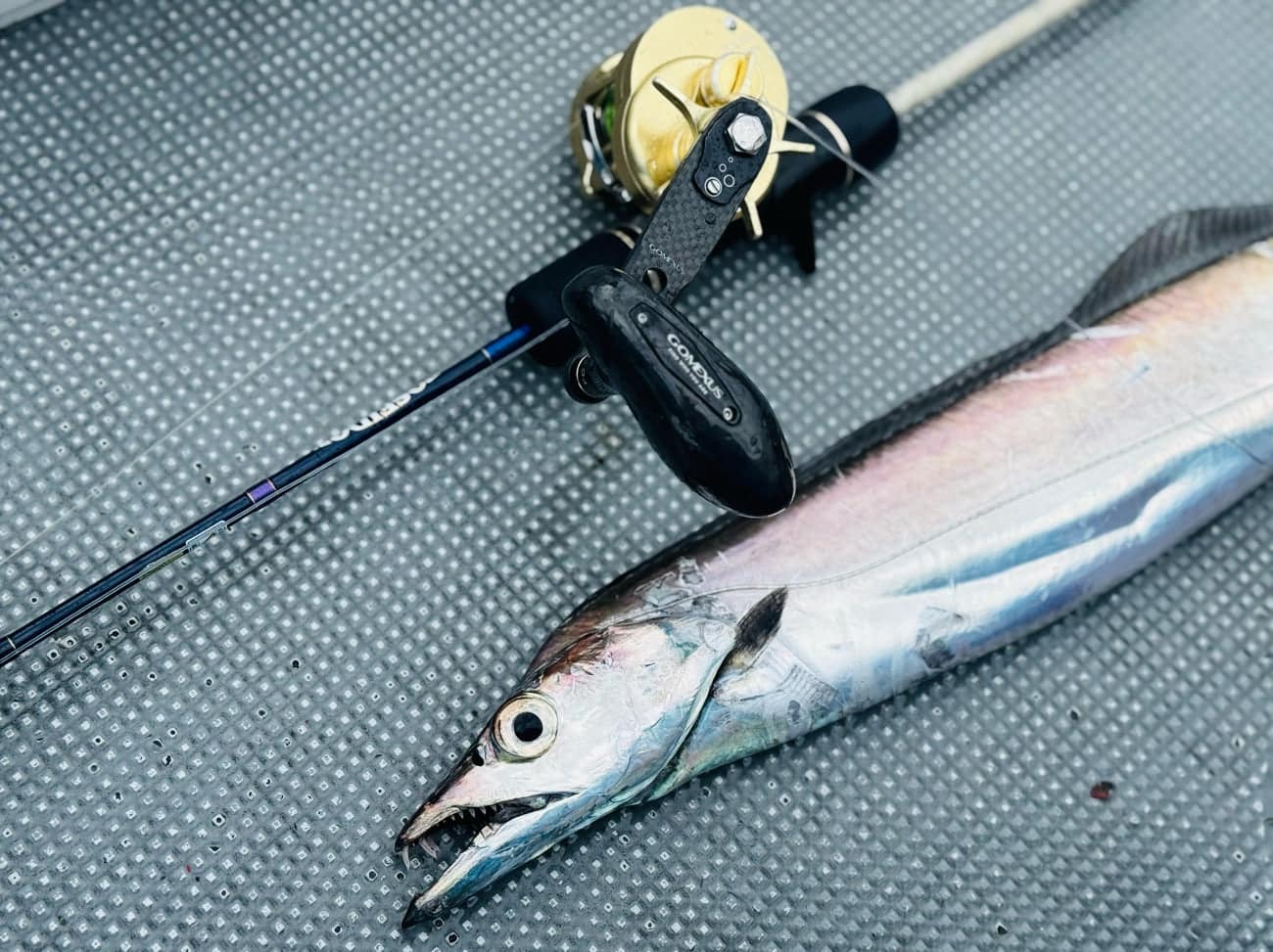 真夏の海へ出航!オフショアジギング釣行記 5 タチウオジギング とは 魚種