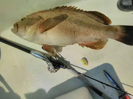 オフショアジギング タックル