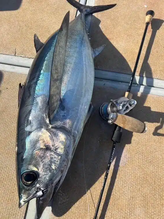 オフショア ジギング 種類