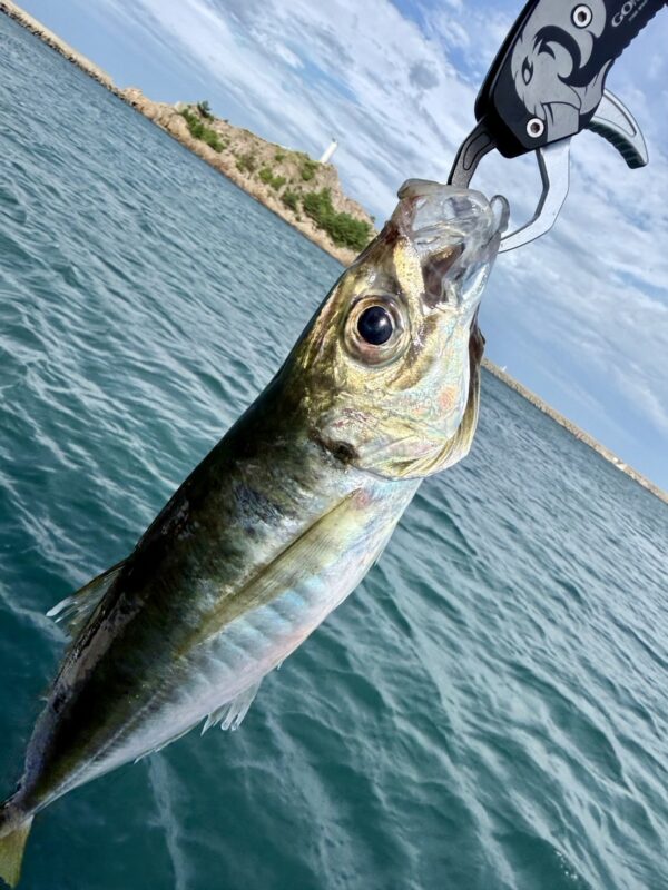 img_v3_02r8_0e38da29-3ac5-44a5-ae93-2ac4c594532g