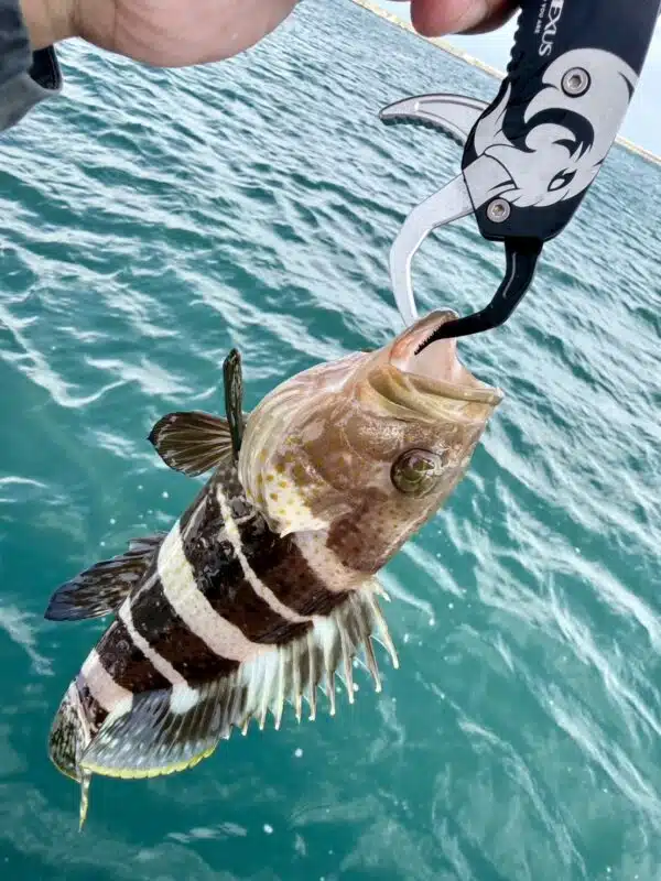 img_v3_02r8_74b8c3d2-7ec5-44e0-9867-1401feddff9g