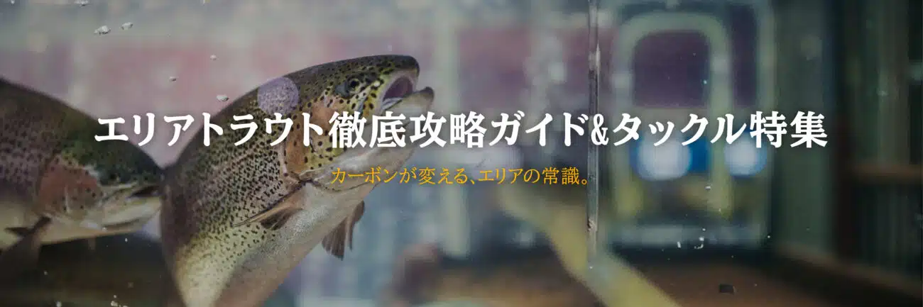 エリアトラウトとは　攻略