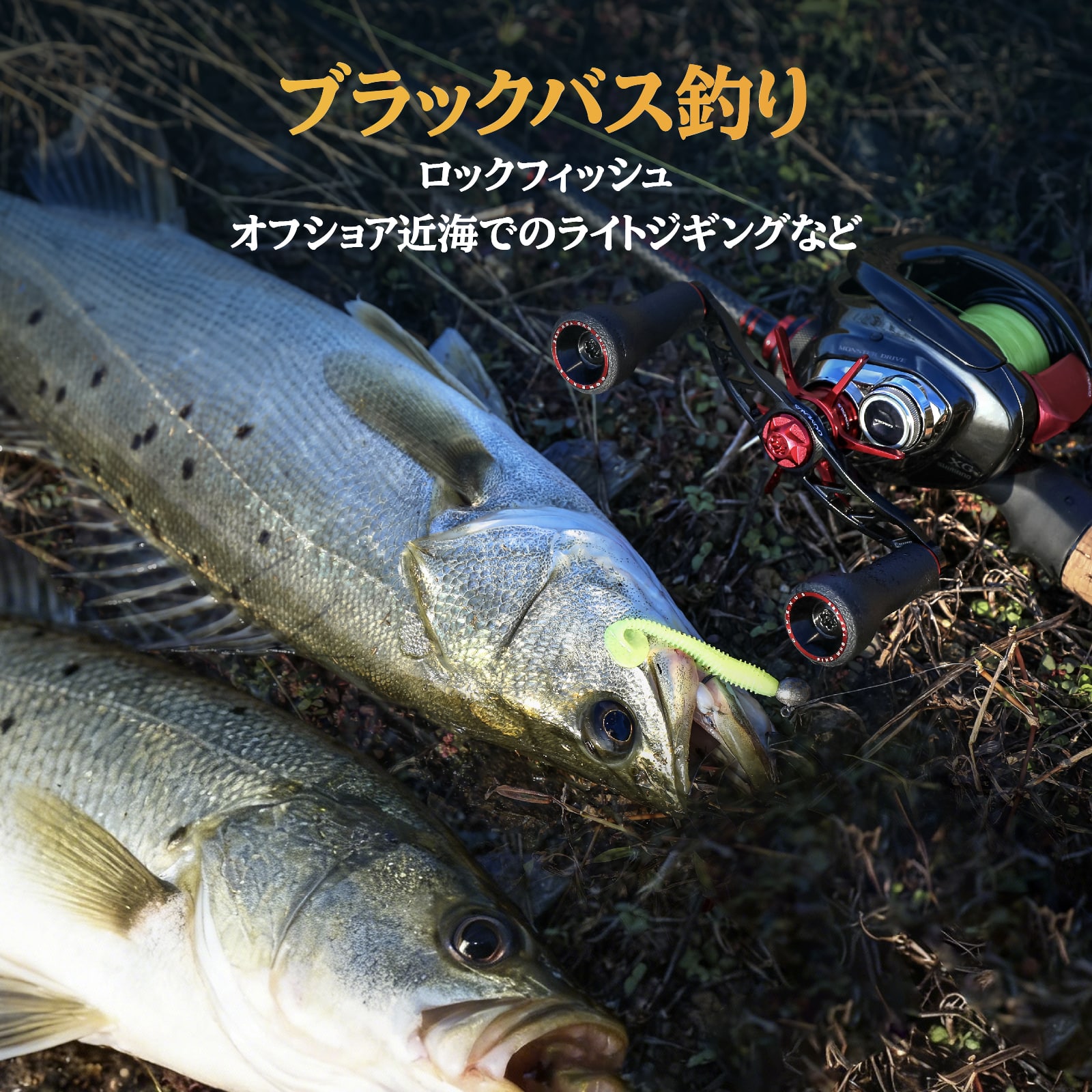 ブラックバス オフショア 対応タックル