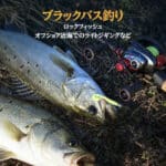 CH-TPE24 ダブルベイトハンドル100mm 軽量化淡水釣りパワーハンドル 長期間快適　 - 画像 (8)